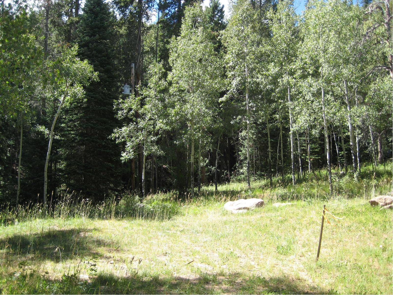 7795 Matterhorn Road Evergreen, CO 80439 - Photo 1 of 1 Gallery Image 1