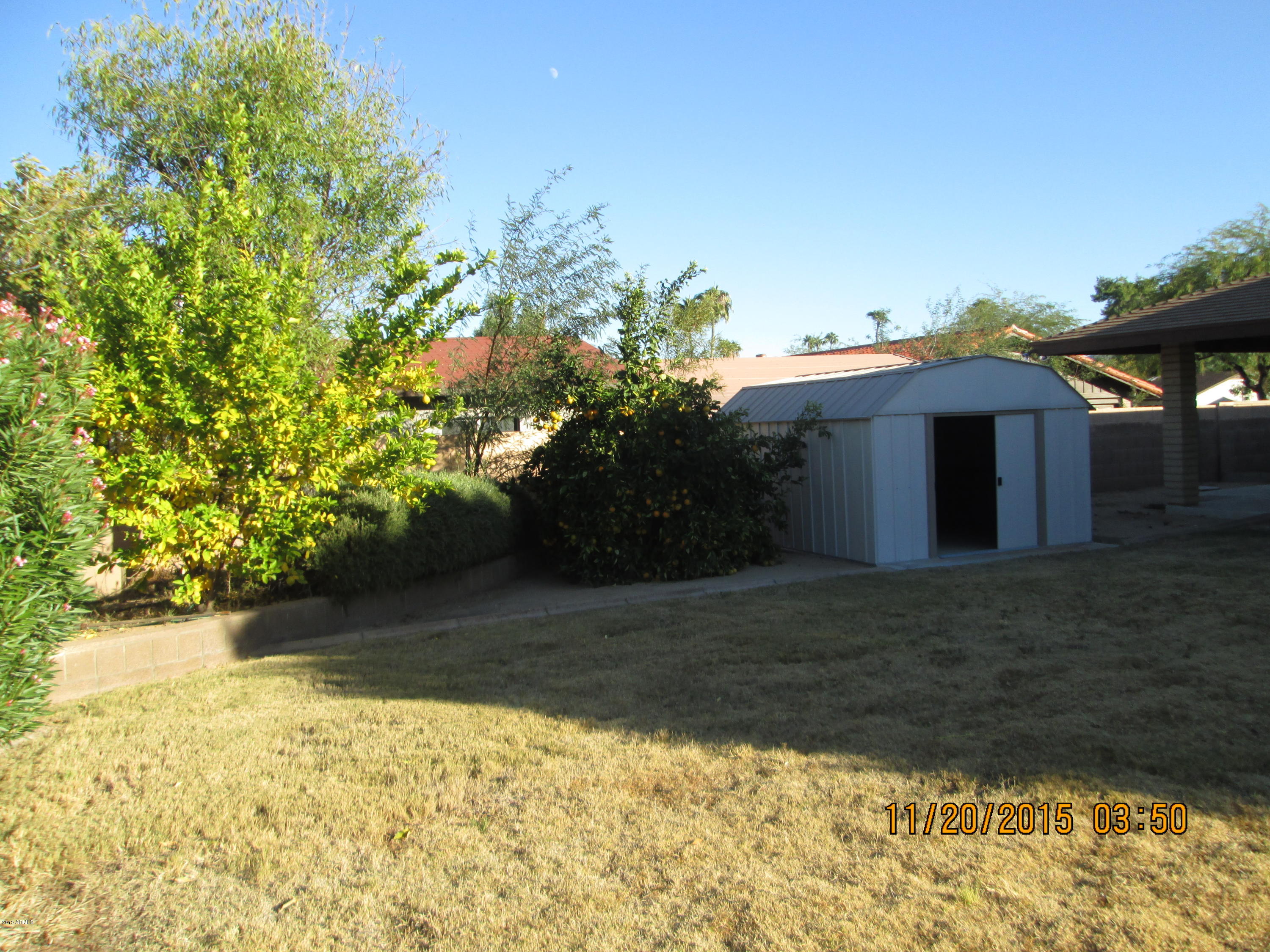 2602 East Cholla Street Phoenix, AZ 85028 - Photo 54 of 56 IMG_0785