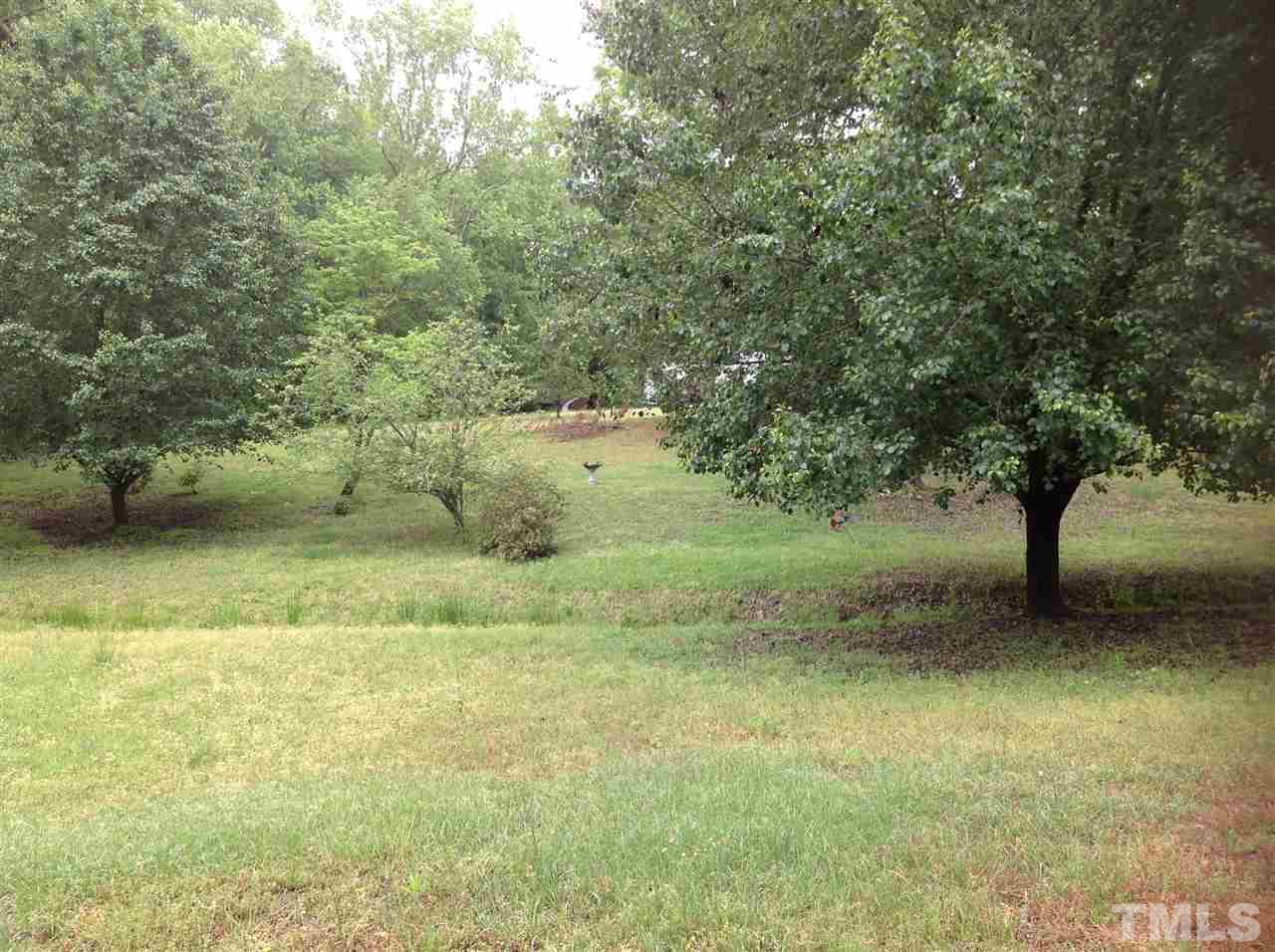 2092 Johnston County Road Benson, NC 27504 - Photo 5 of 5 a view of a yard with a tree