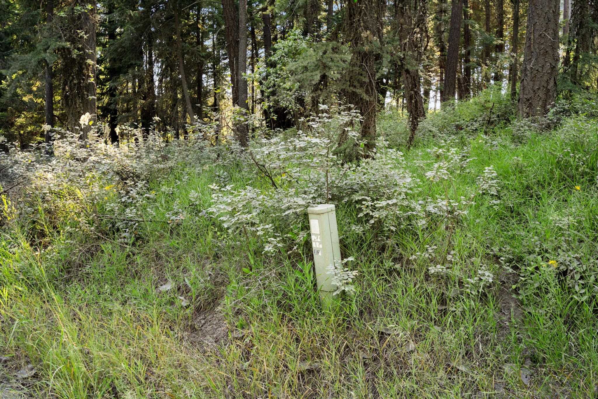 Xxx North Madison Road Mead, WA 99021 - Photo 25 of 25