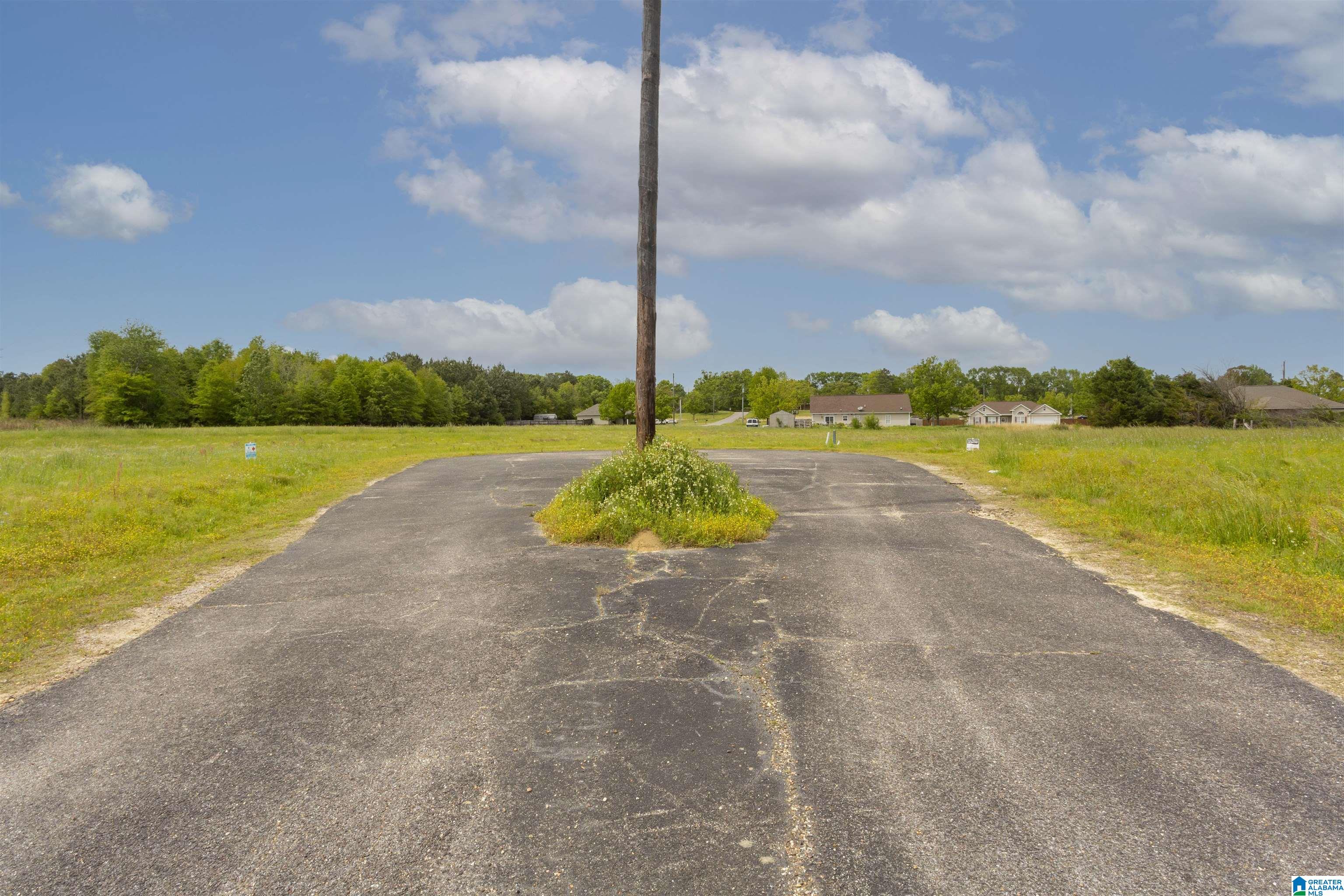 797 County Road Clanton, AL 35045 - Photo 7 of 44