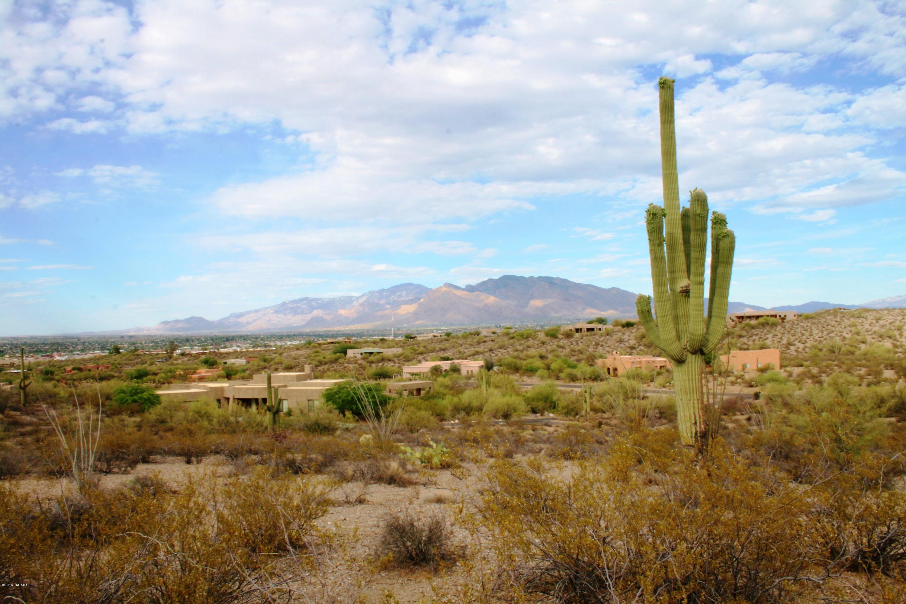 6075 North Abington Road, Unit LOT 4 Tucson, AZ 85743 - Photo 16 of 31