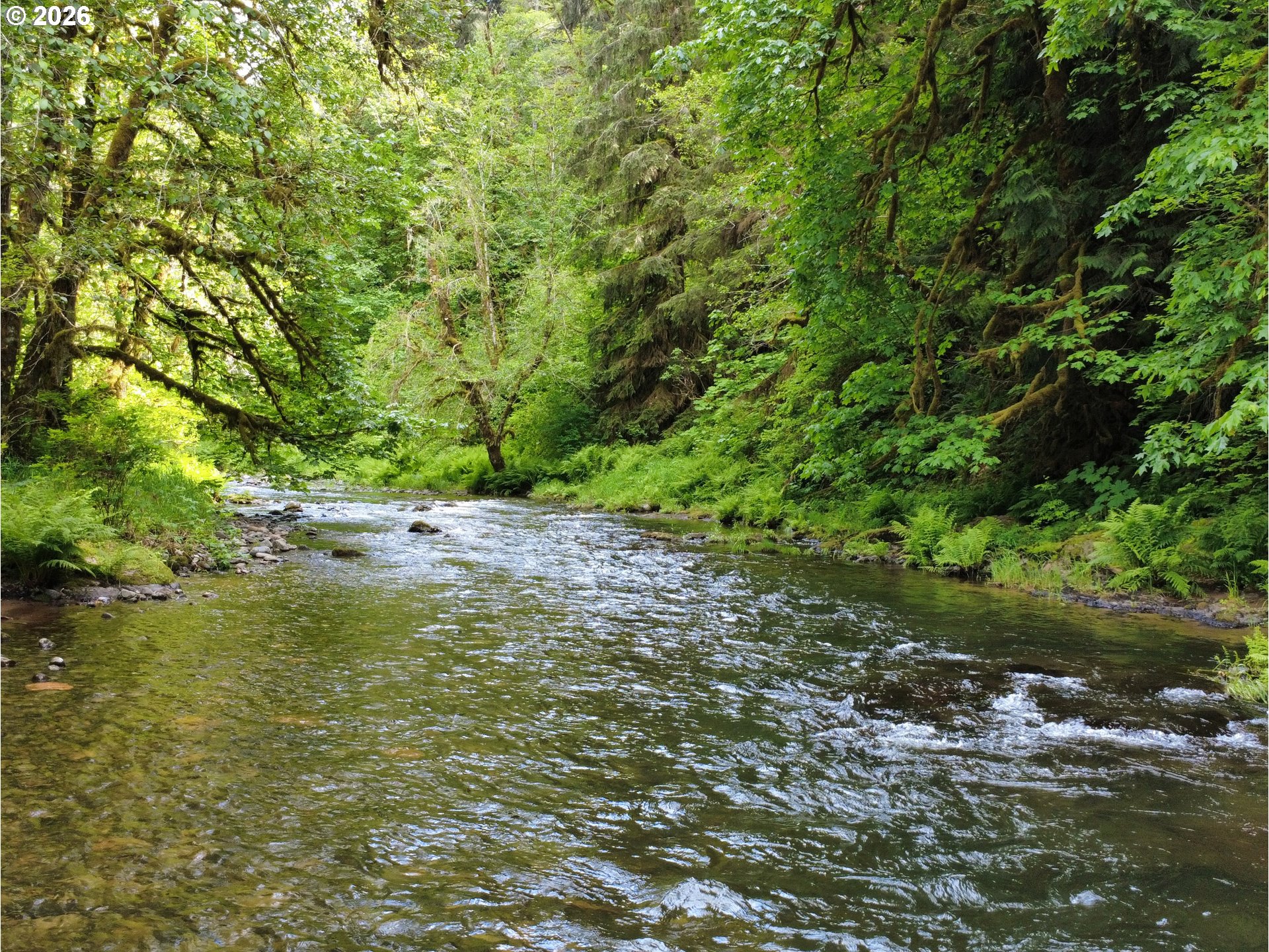Rose Valley Road Kelso, WA 98626 - Photo 1 of 32 Gallery Image 1