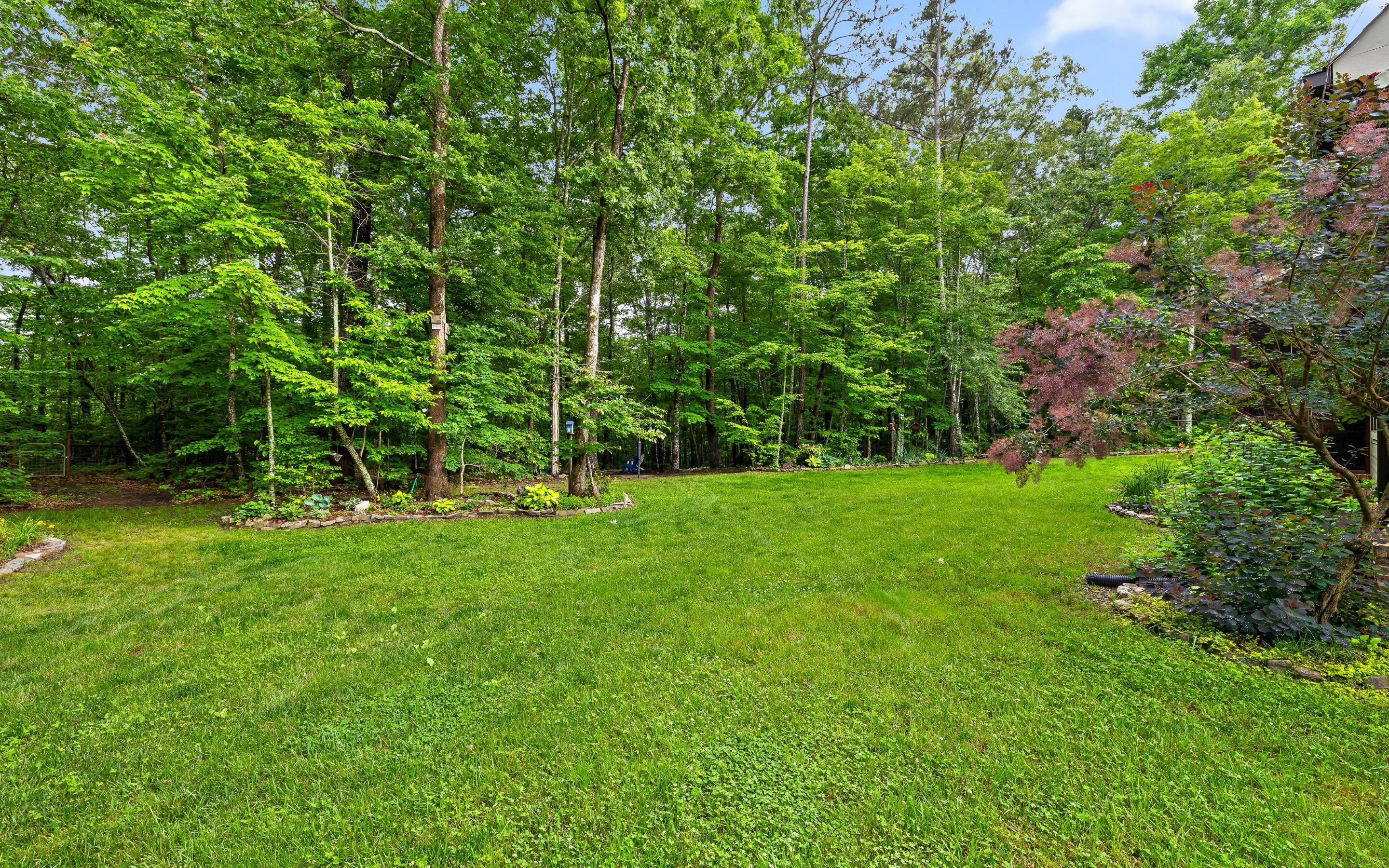 266 Beaten Path Signal Mountain, TN 37377 - Photo 56 of 76 56