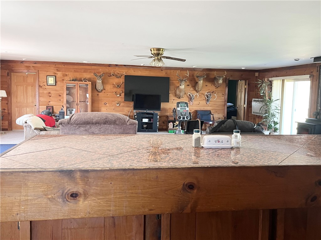 8970 Cook Road Arkport, NY 14807 - Photo 14 of 35