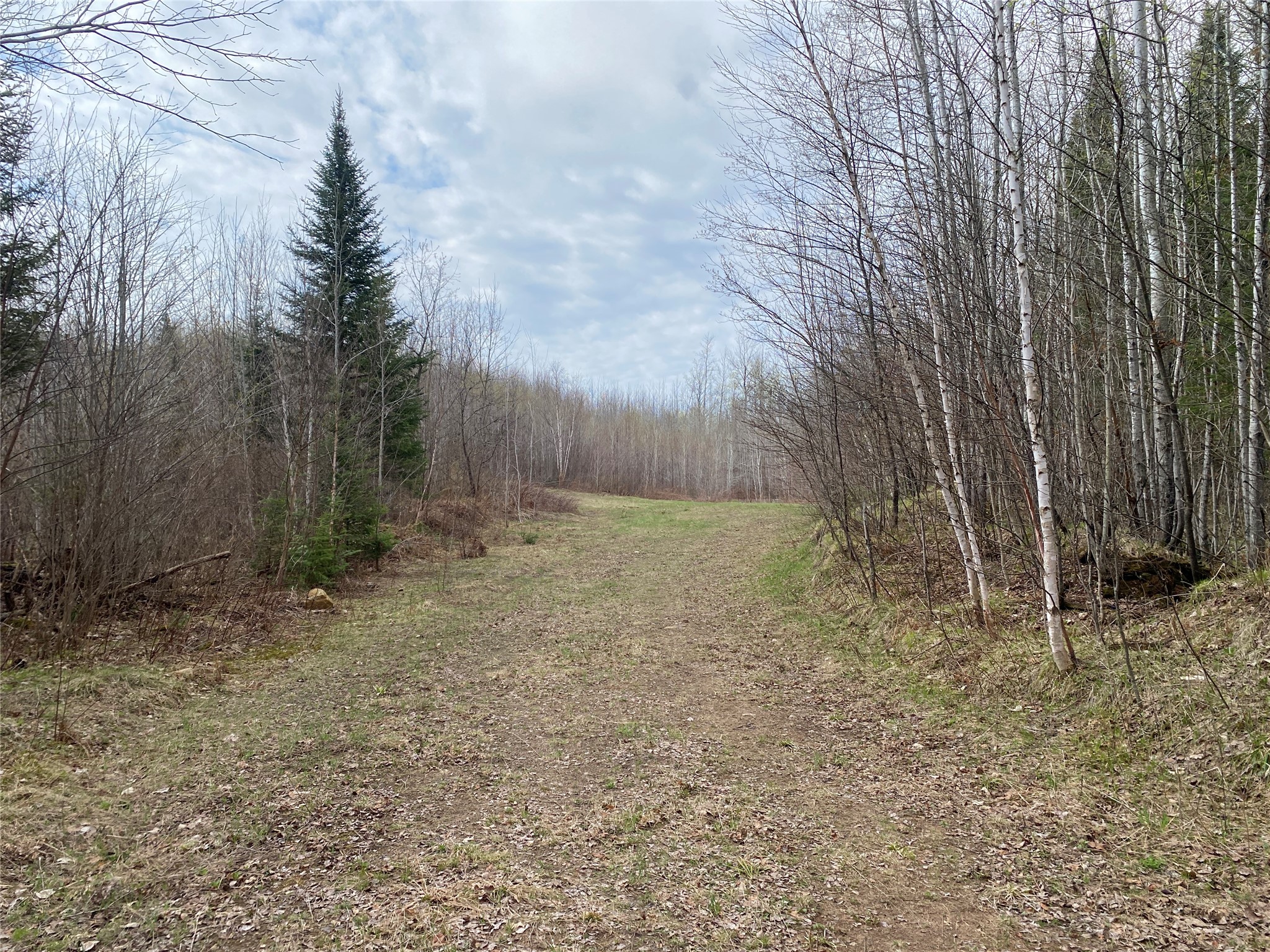 Near Wilson Lake Road Phillips, WI 54555 - Photo 1 of 6
