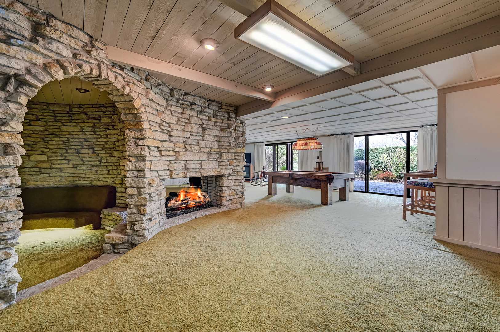 8402 Carriage Green Drive Darien, IL 60561 - Photo 24 of 39 a living room with furniture and a fireplace