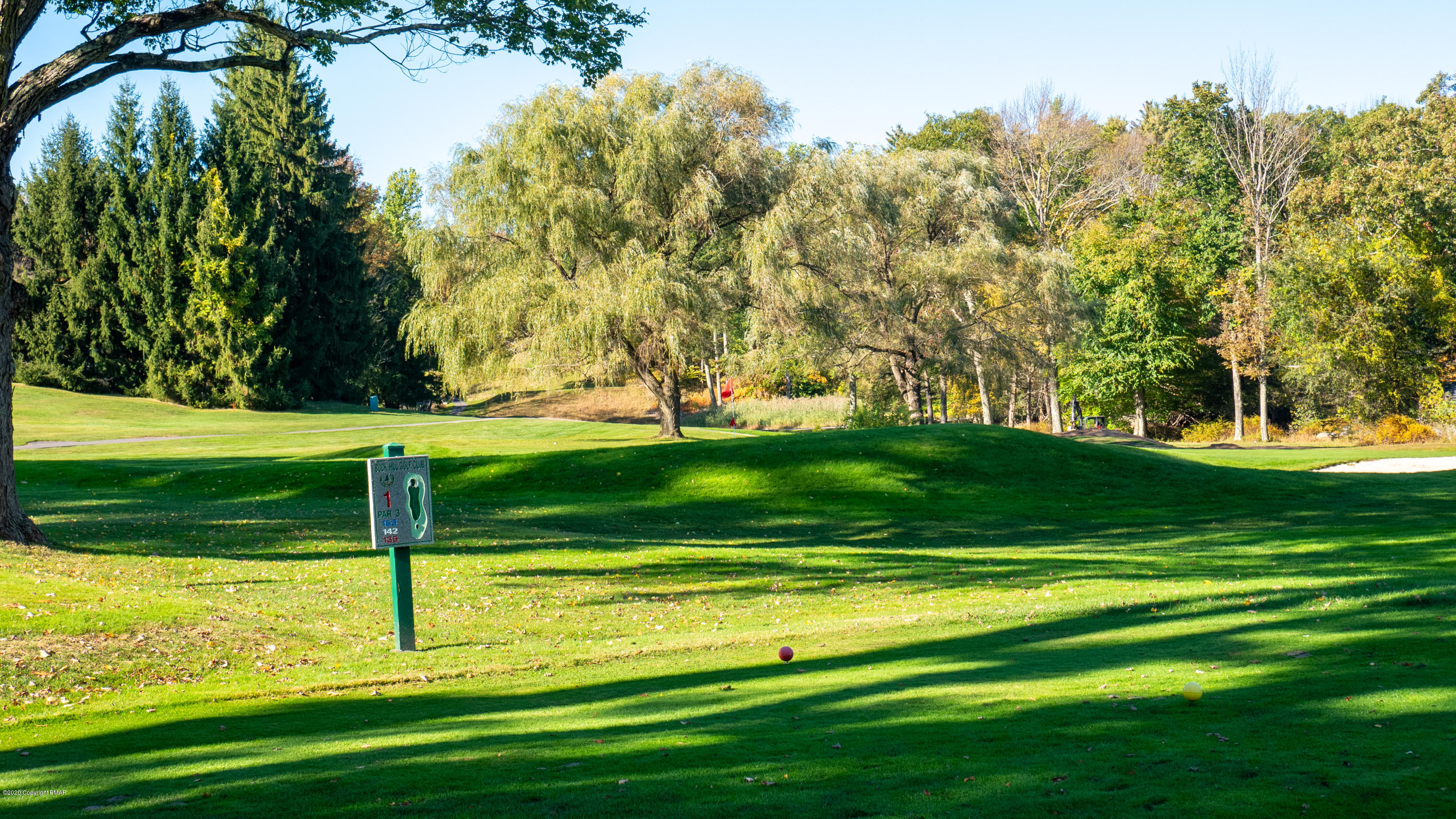 104 Haverhill Road Cresco, PA 18326 - Photo 85 of 90 Golf