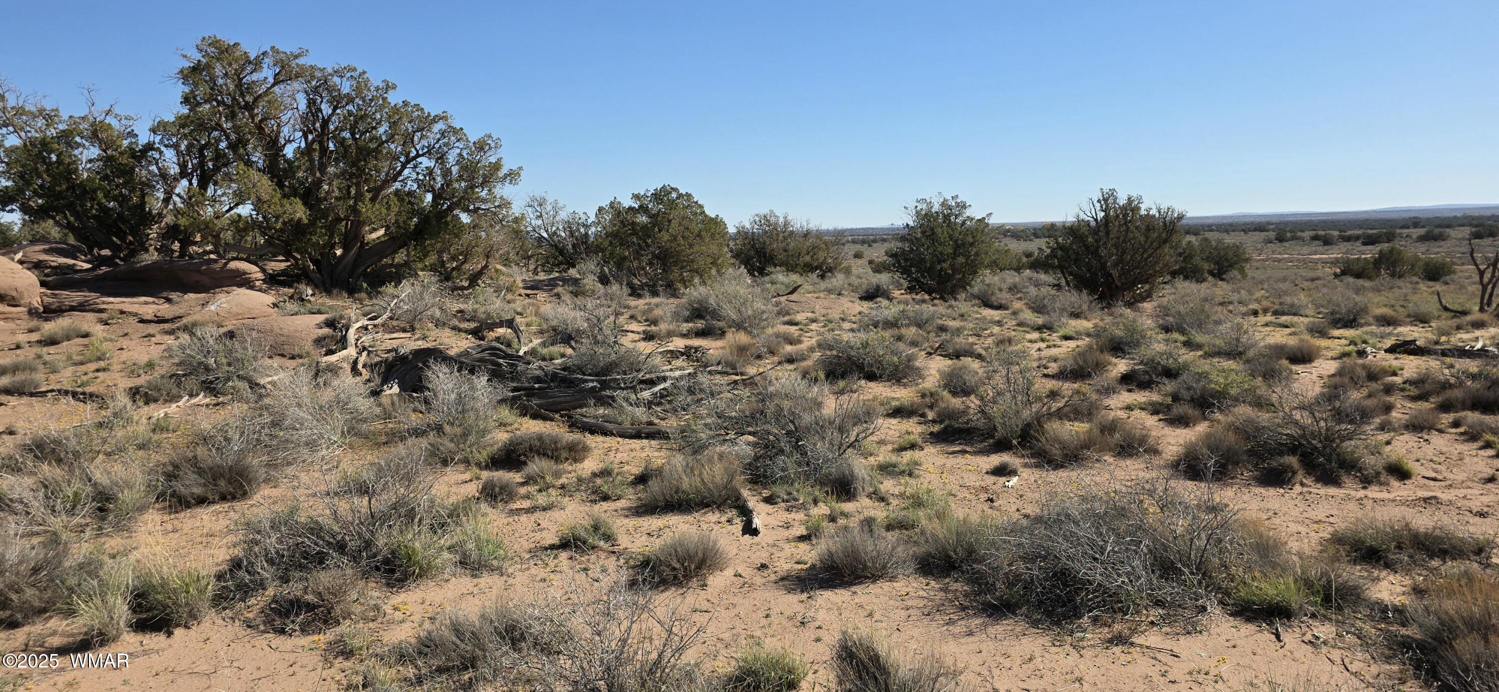 5085 Concho Ocho Road Snowflake, AZ 85937 - Photo 17 of 22 20251114_105052