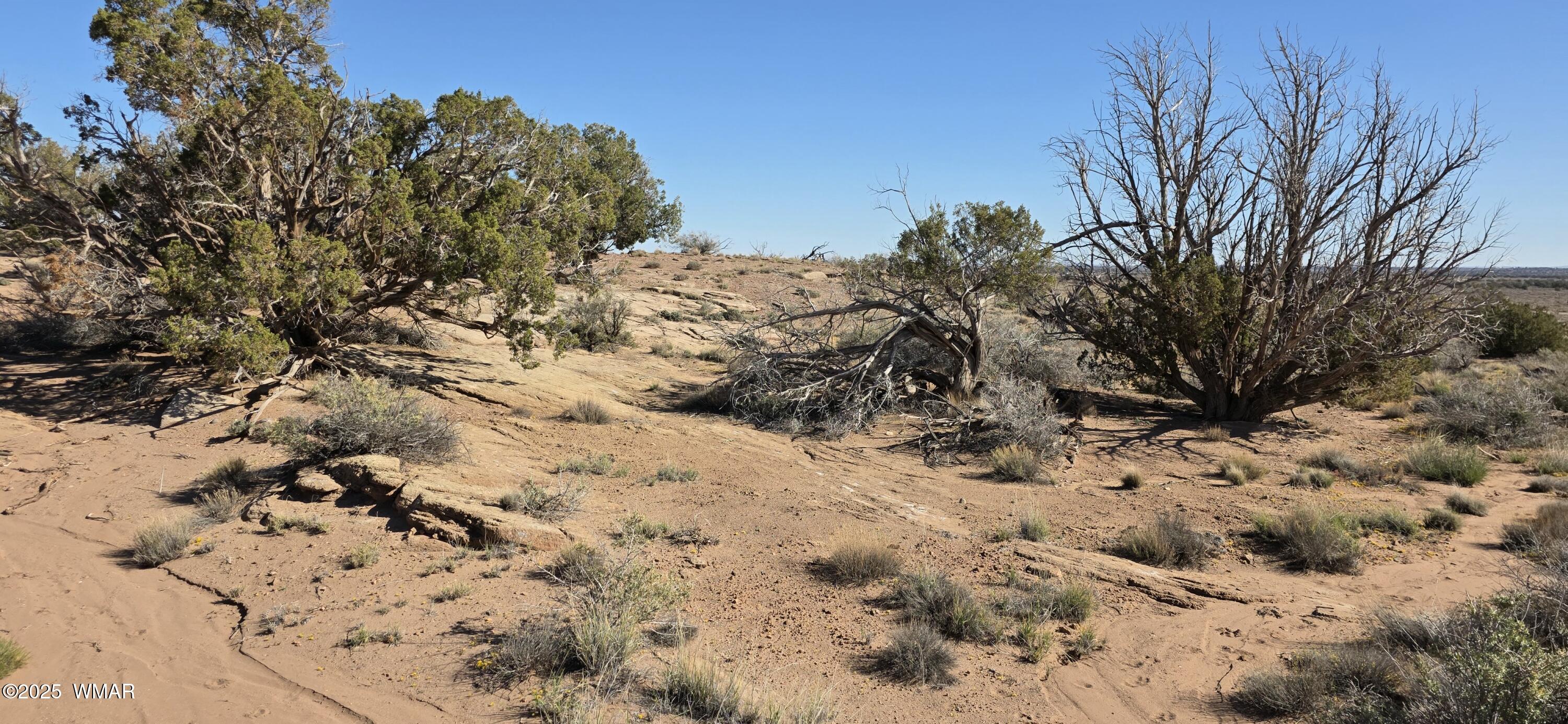 5085 Concho Ocho Road Snowflake, AZ 85937 - Photo 19 of 22 20251114_105154