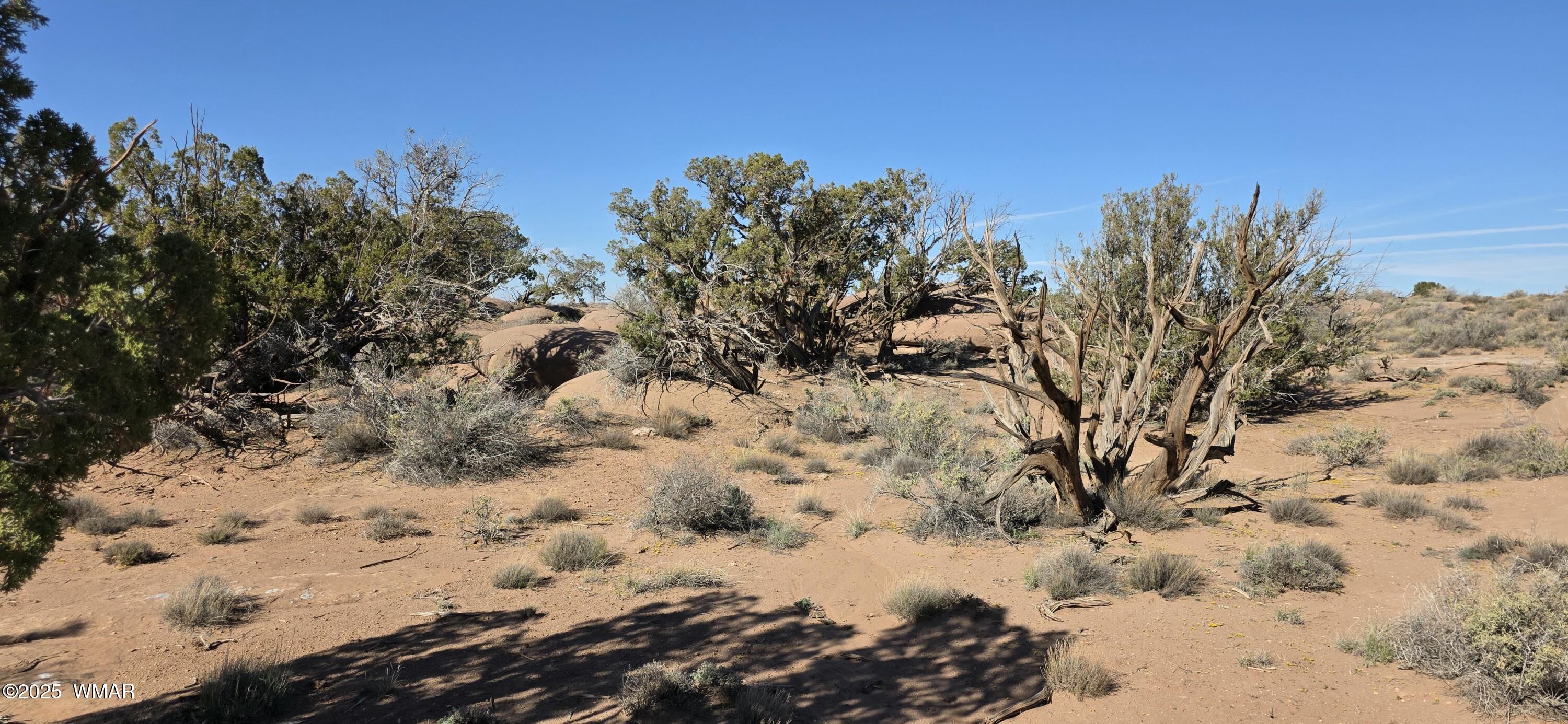 5085 Concho Ocho Road Snowflake, AZ 85937 - Photo 20 of 22 20251114_105209