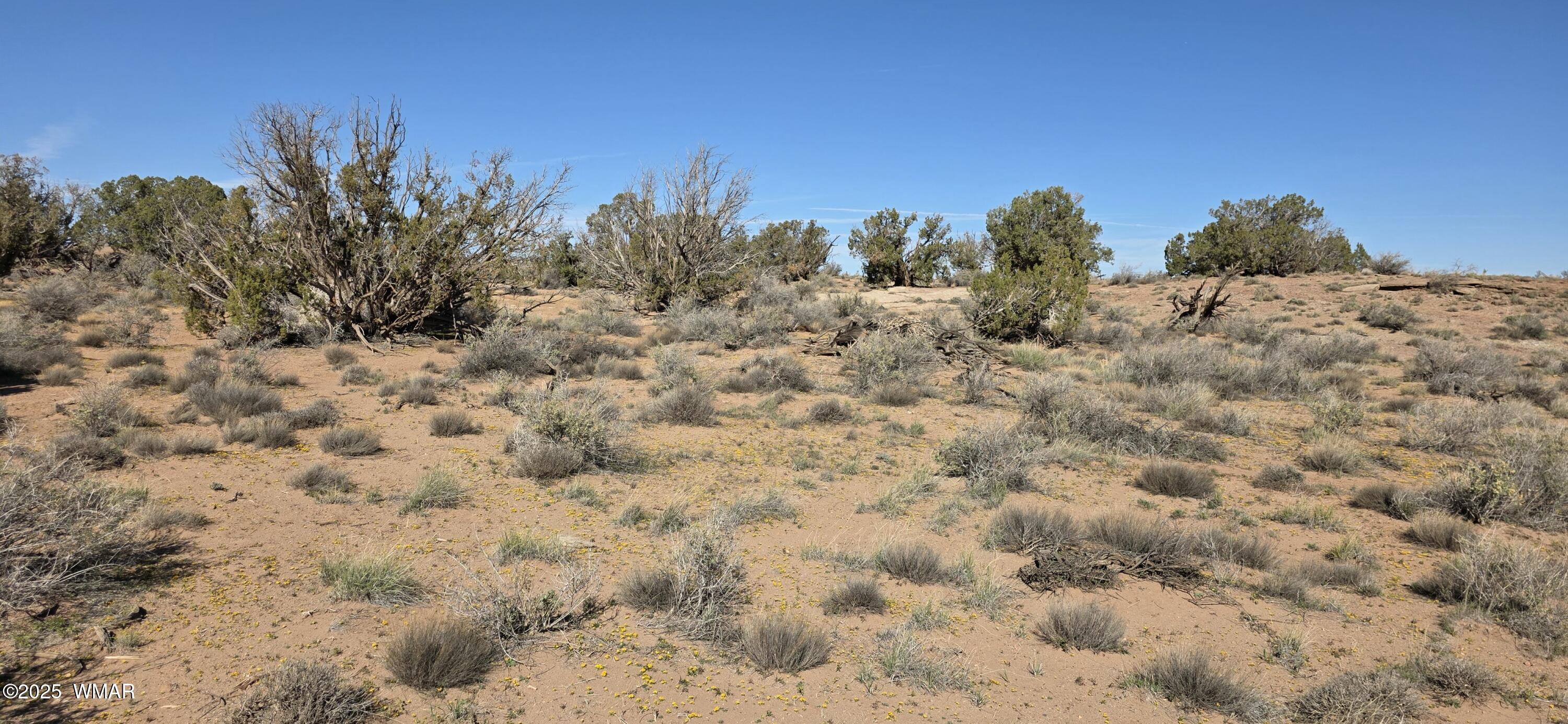 5085 Concho Ocho Road Snowflake, AZ 85937 - Photo 22 of 22 20251114_105354
