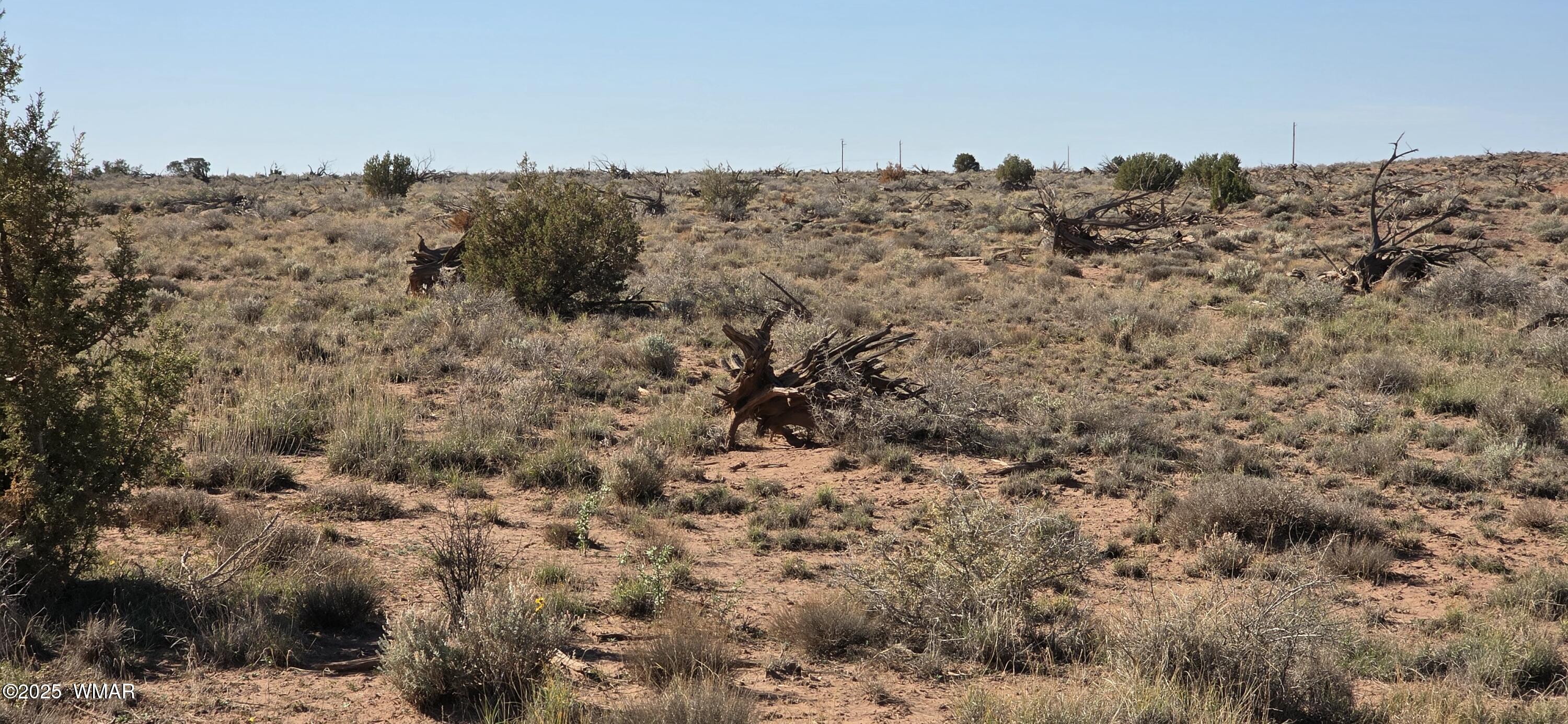 5085 Concho Ocho Road Snowflake, AZ 85937 - Photo 8 of 22 20251114_104206