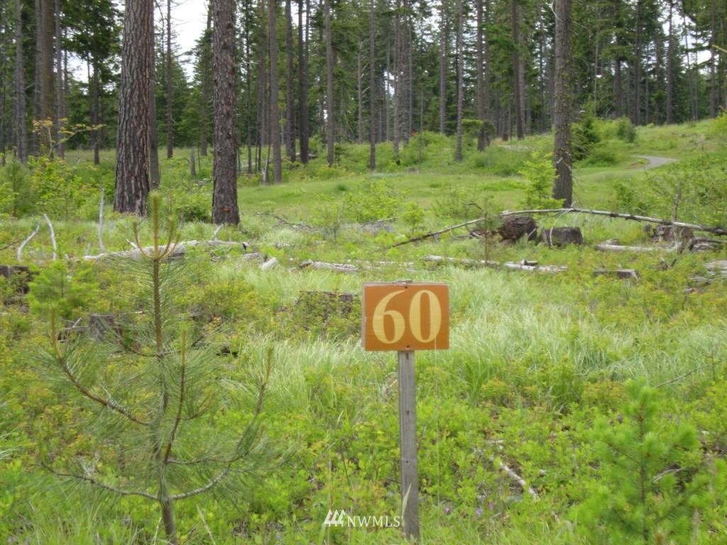 300 Maple Leaf Loop Cle Elum, WA 98922 - Photo 1 of 1 Gallery Image 1