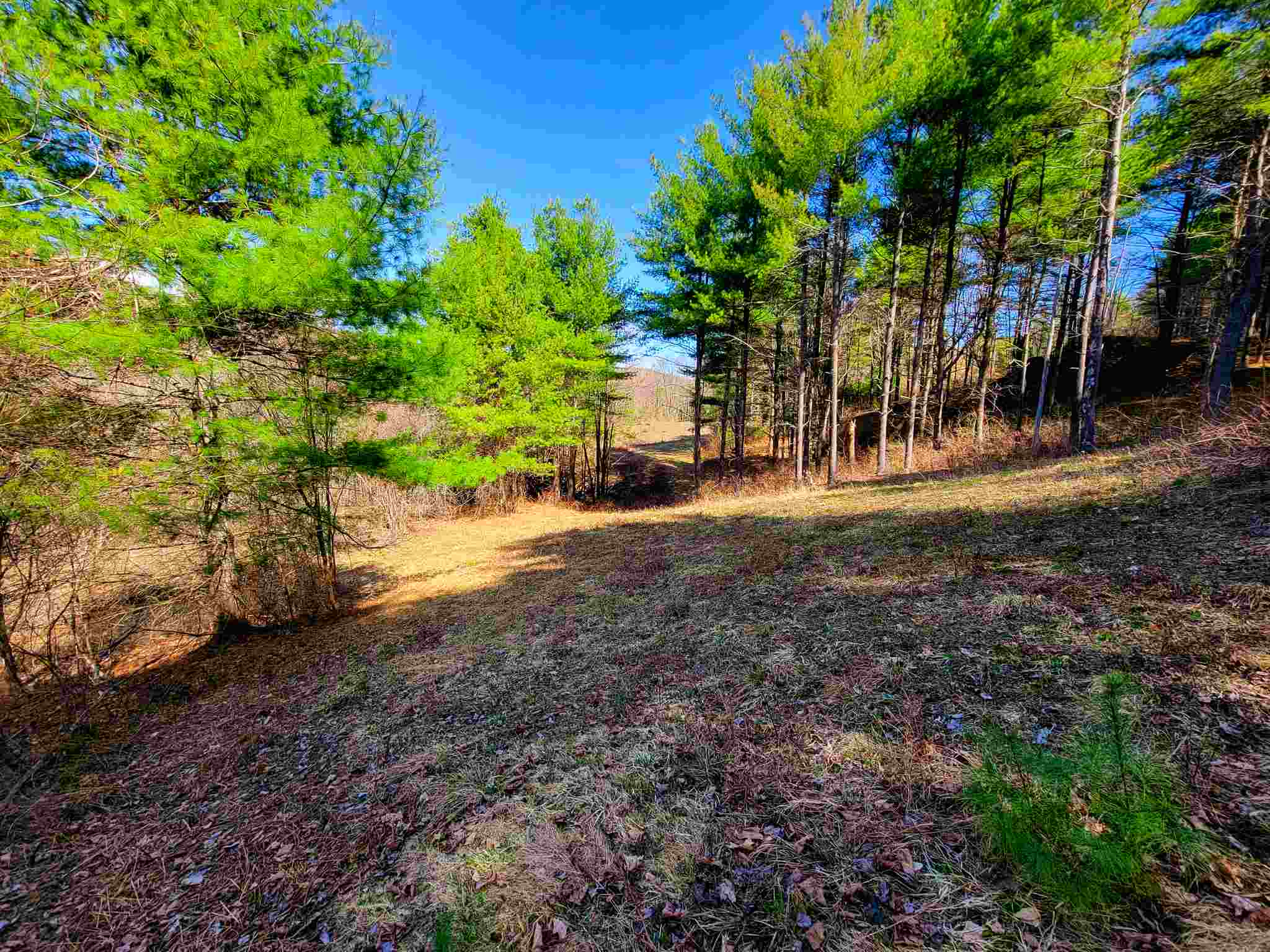 205 Slack Hill Road, Unit 1 Royalton, VT 05068 - Photo 14 of 40