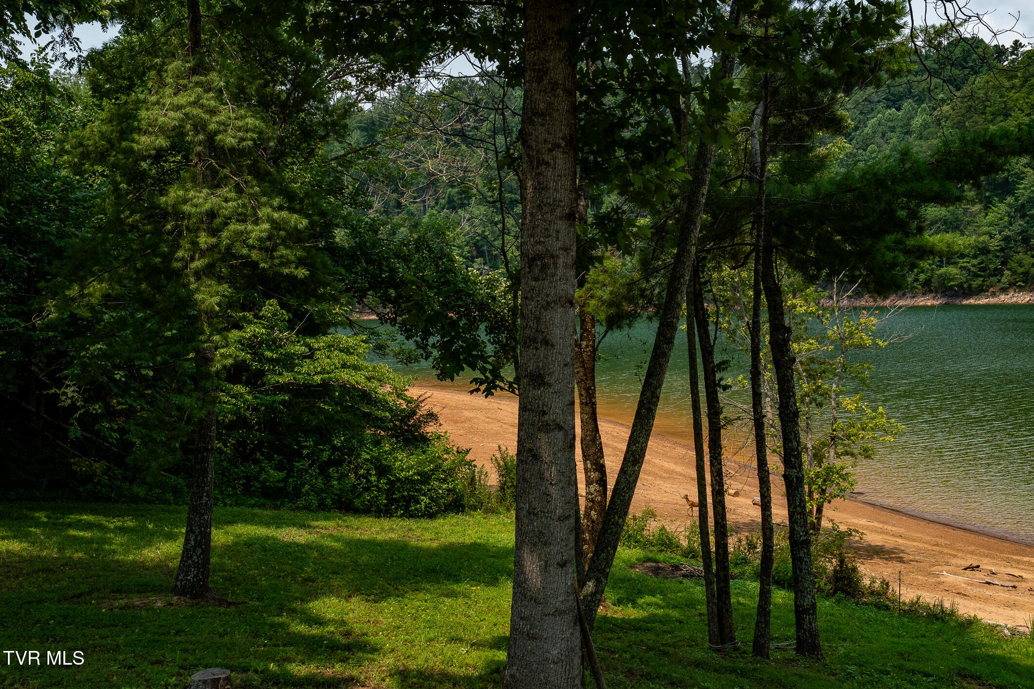 2288 Norris Road Butler, TN 37640 - Photo 46 of 134 2288 Norris Rd (85 of 145)