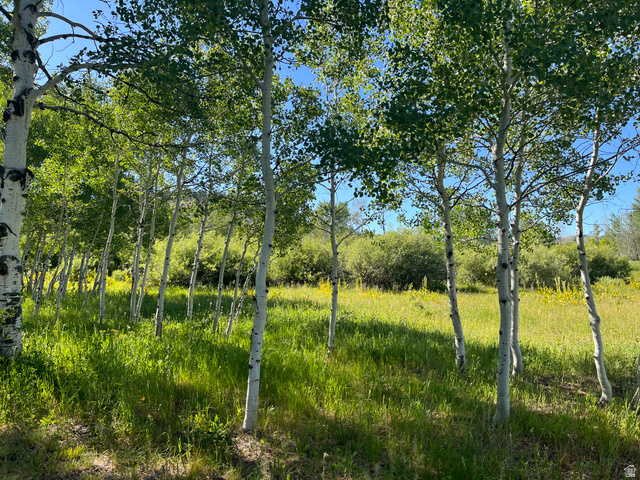 7631 Stauffer Canyon Road Montpelier, ID 83254 - Photo 29 of 35