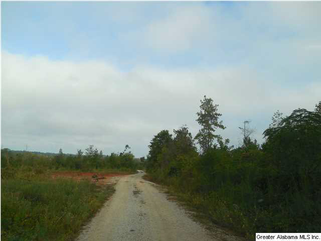 Cody Road, Unit 6 Roanoke, AL 36274 - Photo 1 of 1