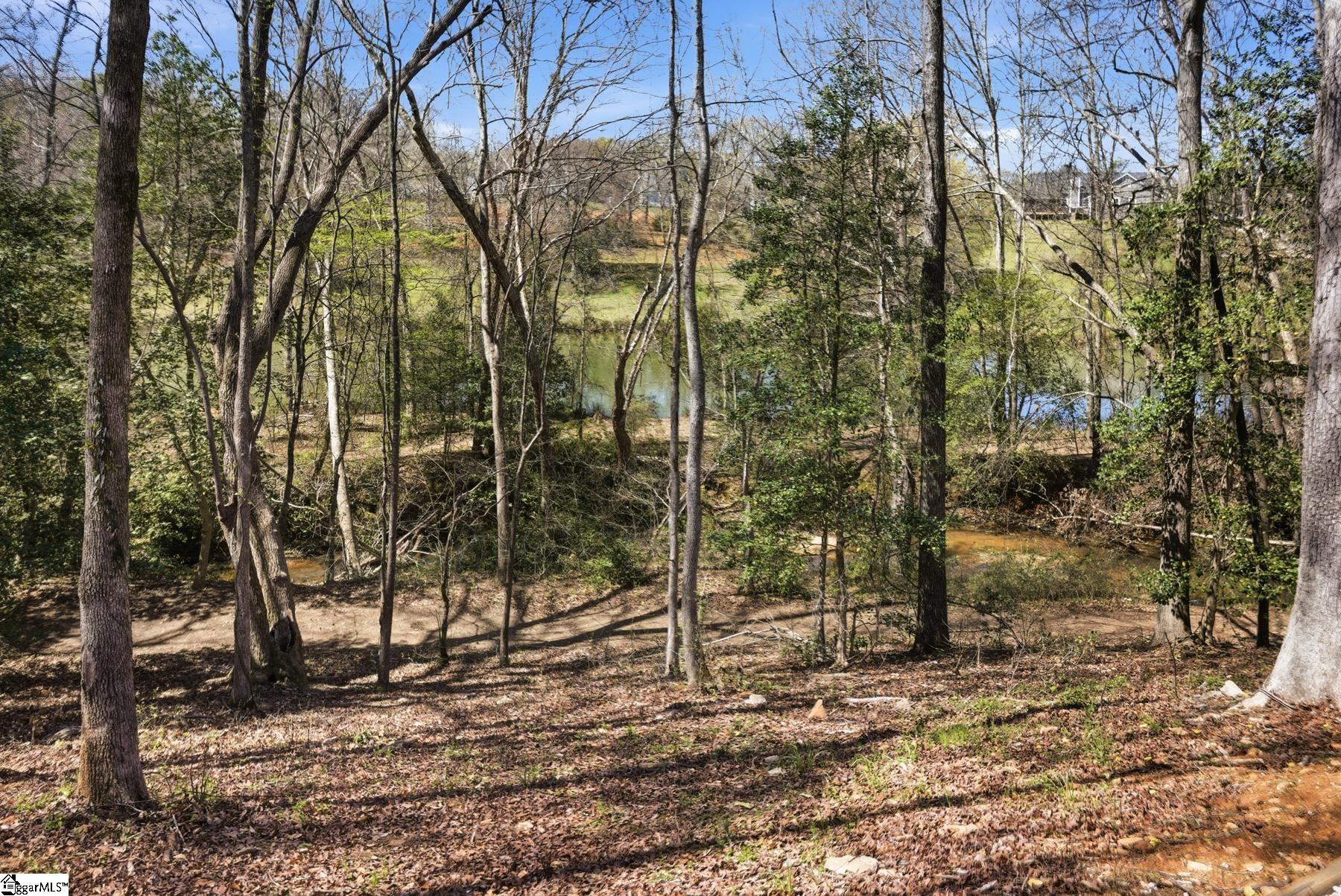 40 Silesian Court Pelzer, SC 29669 - Photo 33 of 37