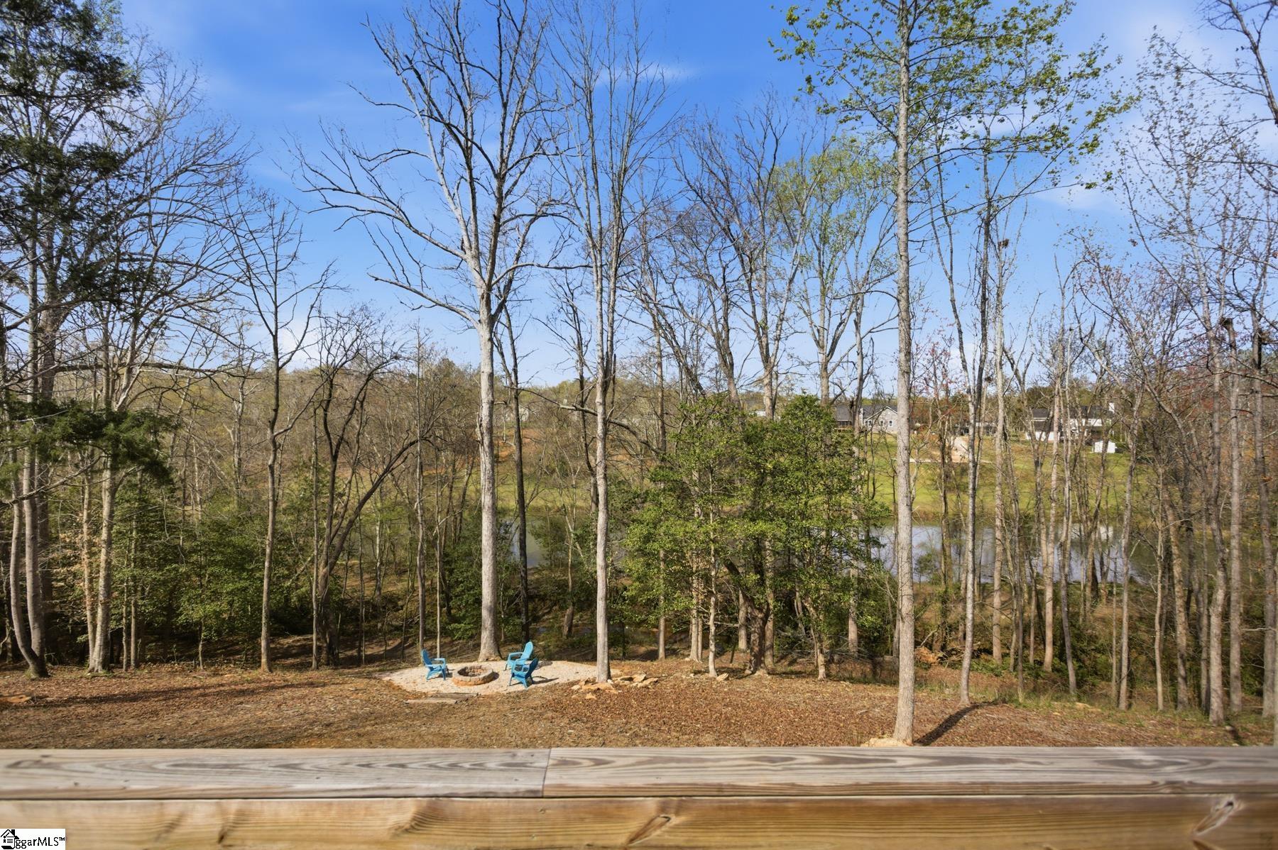 40 Silesian Court Pelzer, SC 29669 - Photo 34 of 37