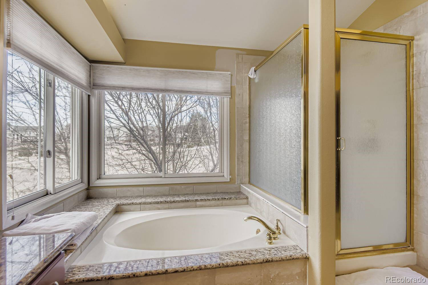 9603 Chesapeake Street Highlands Ranch, CO 80126 - Photo 25 of 48