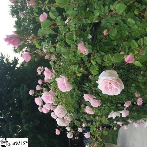 255 Claude Gilbert Road Columbus, NC 28722 - Photo 19 of 32