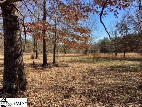 255 Claude Gilbert Road Columbus, NC 28722 - Photo 28 of 32