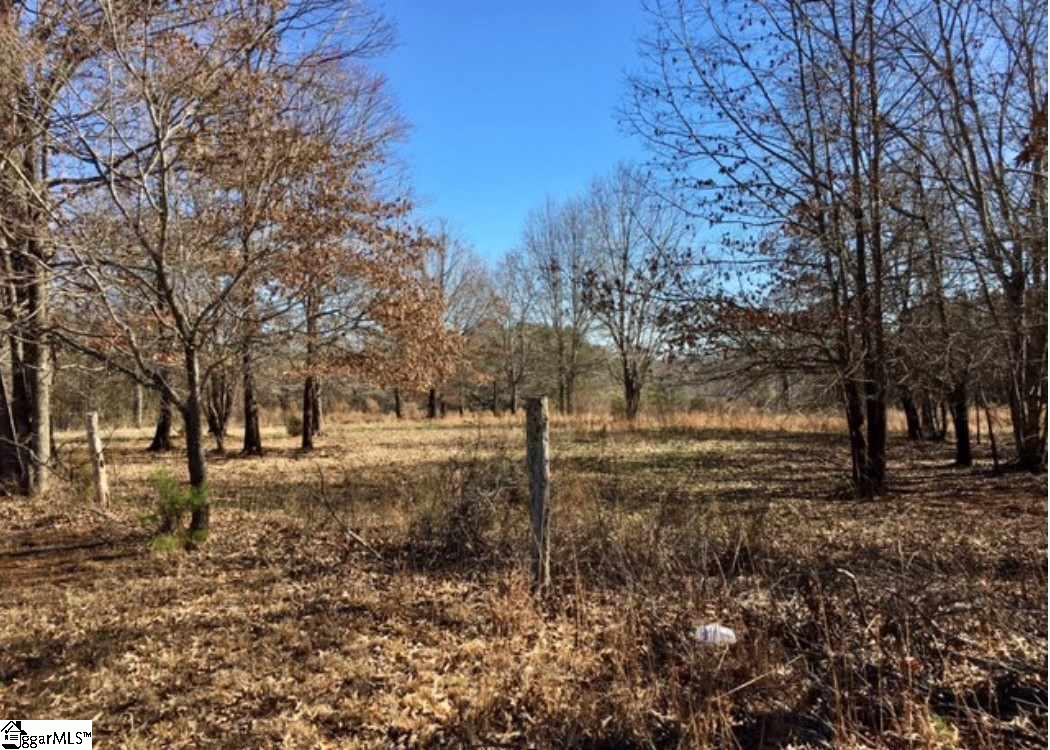 255 Claude Gilbert Road Columbus, NC 28722 - Photo 29 of 32