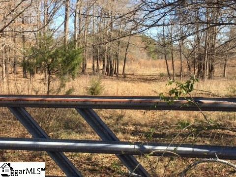 255 Claude Gilbert Road Columbus, NC 28722 - Photo 30 of 32