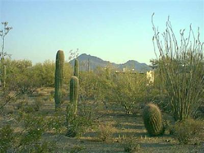 5255 South Butts Road Tucson, AZ 85757 - Photo 3 of 5