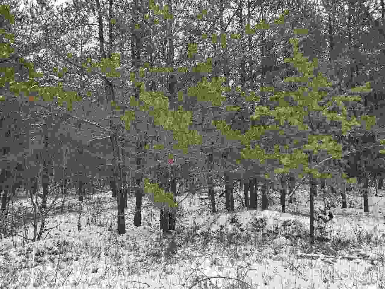 581 Rd Ishpeming Mi 49849 Road Ishpeming, MI 49849 - Photo 2 of 4
