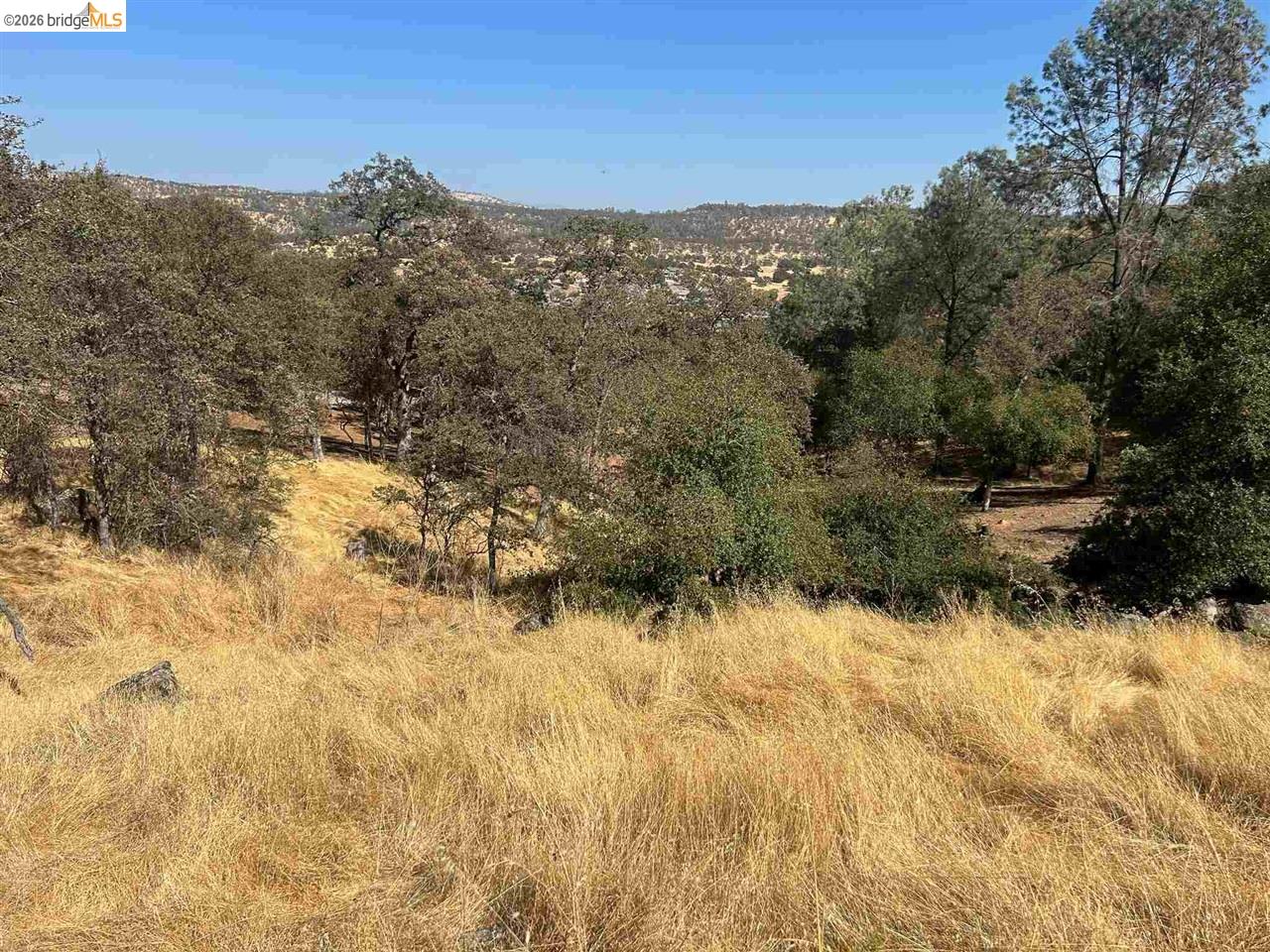 4775 Pueblo Trail Copperopolis, CA 95228 - Photo 3 of 6 a view of a yard with a mountain