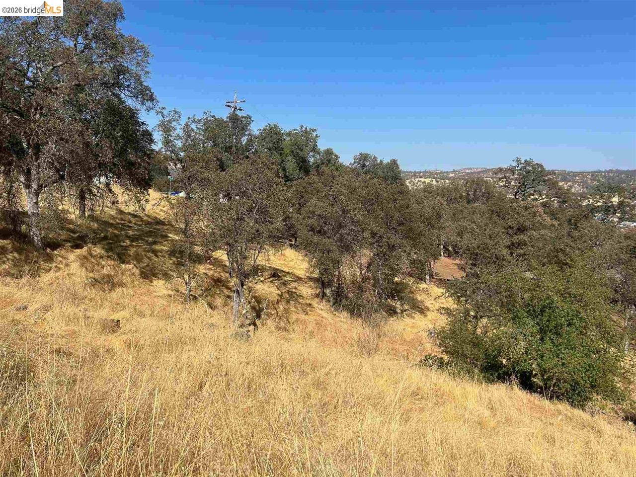 4775 Pueblo Trail Copperopolis, CA 95228 - Photo 5 of 6 a view of a covered with trees in the background