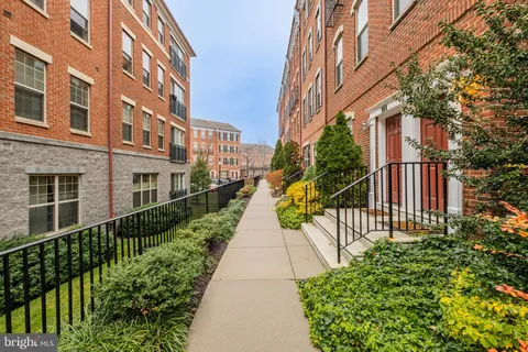 a view of a big yard with palm trees
