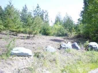 1111-xxxx Whiteman Road Southwest Lakebay, WA 98349 - Photo 1 of 1