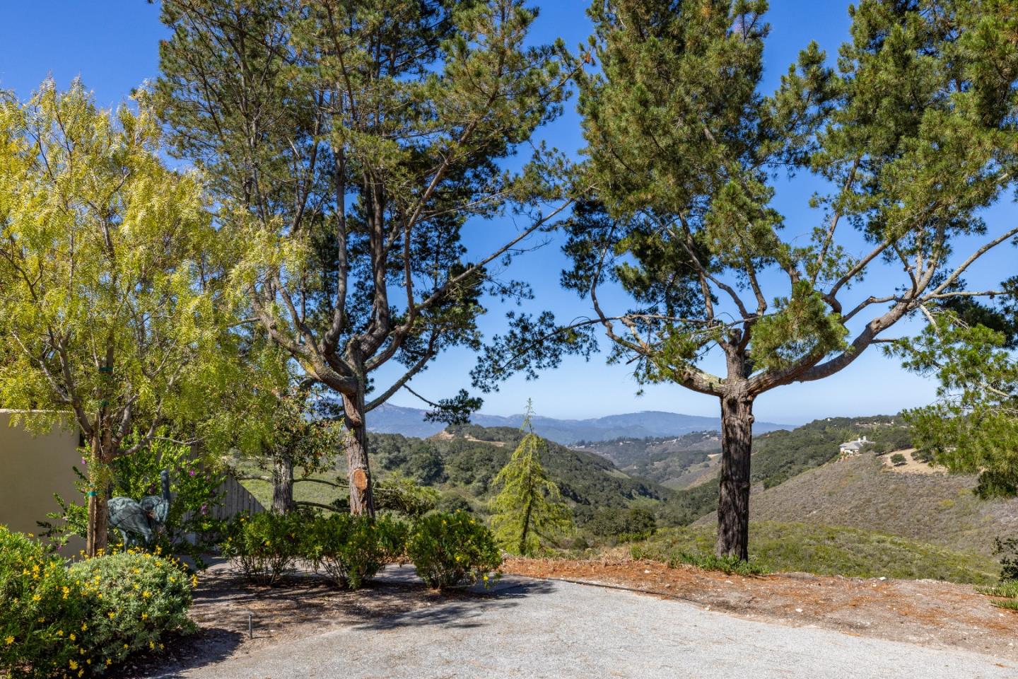 11502 Saddle Road Monterey, CA 93940 - Photo 32 of 40 a view of a tree in front of a house