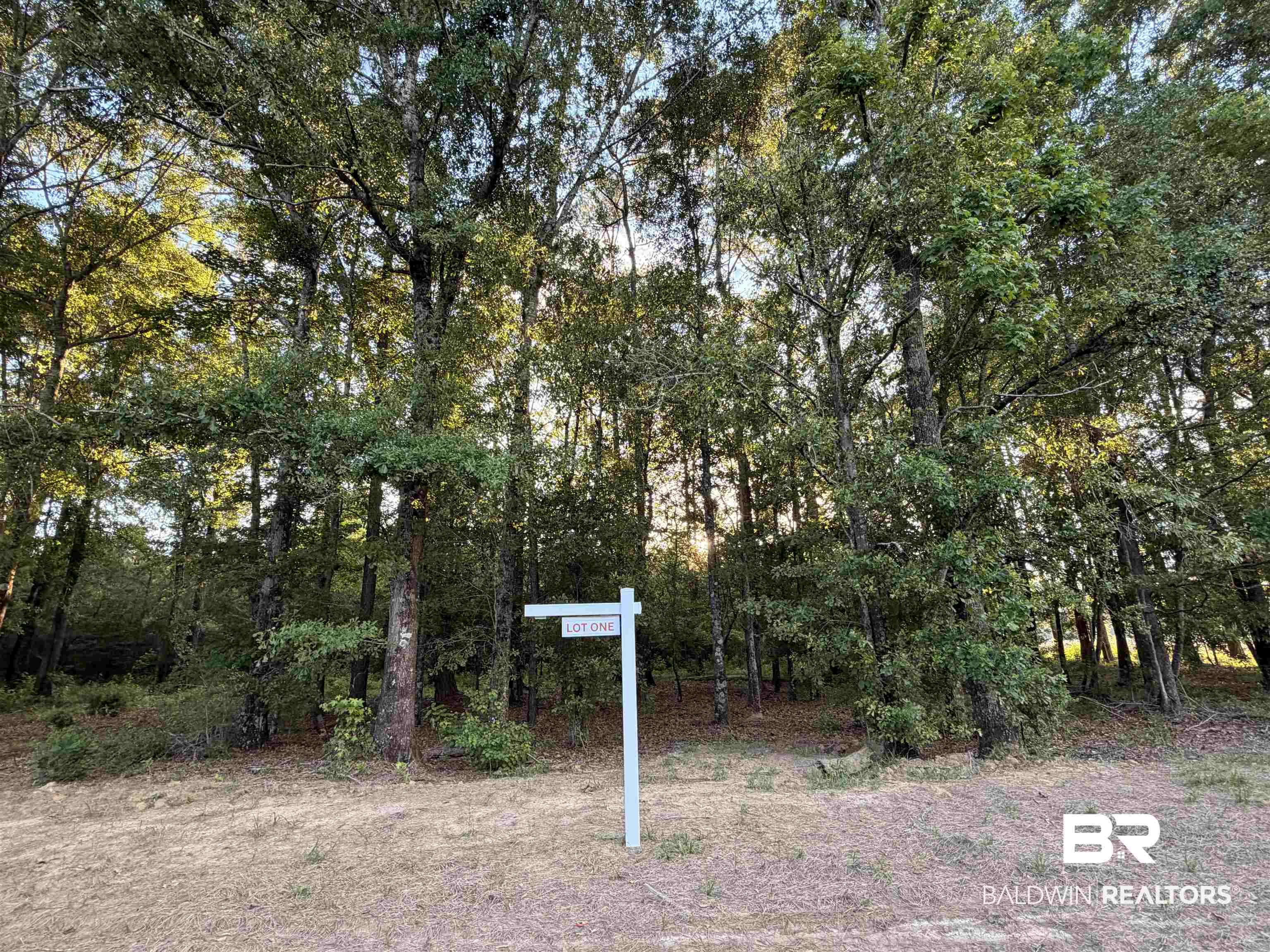 -pine Grove Rd Pine Grove Rd Pine Grove Road Bay Minette, AL 36507 - Photo 2 of 14