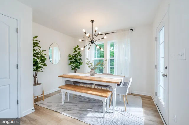a view of a room that has a couch and a potted plant