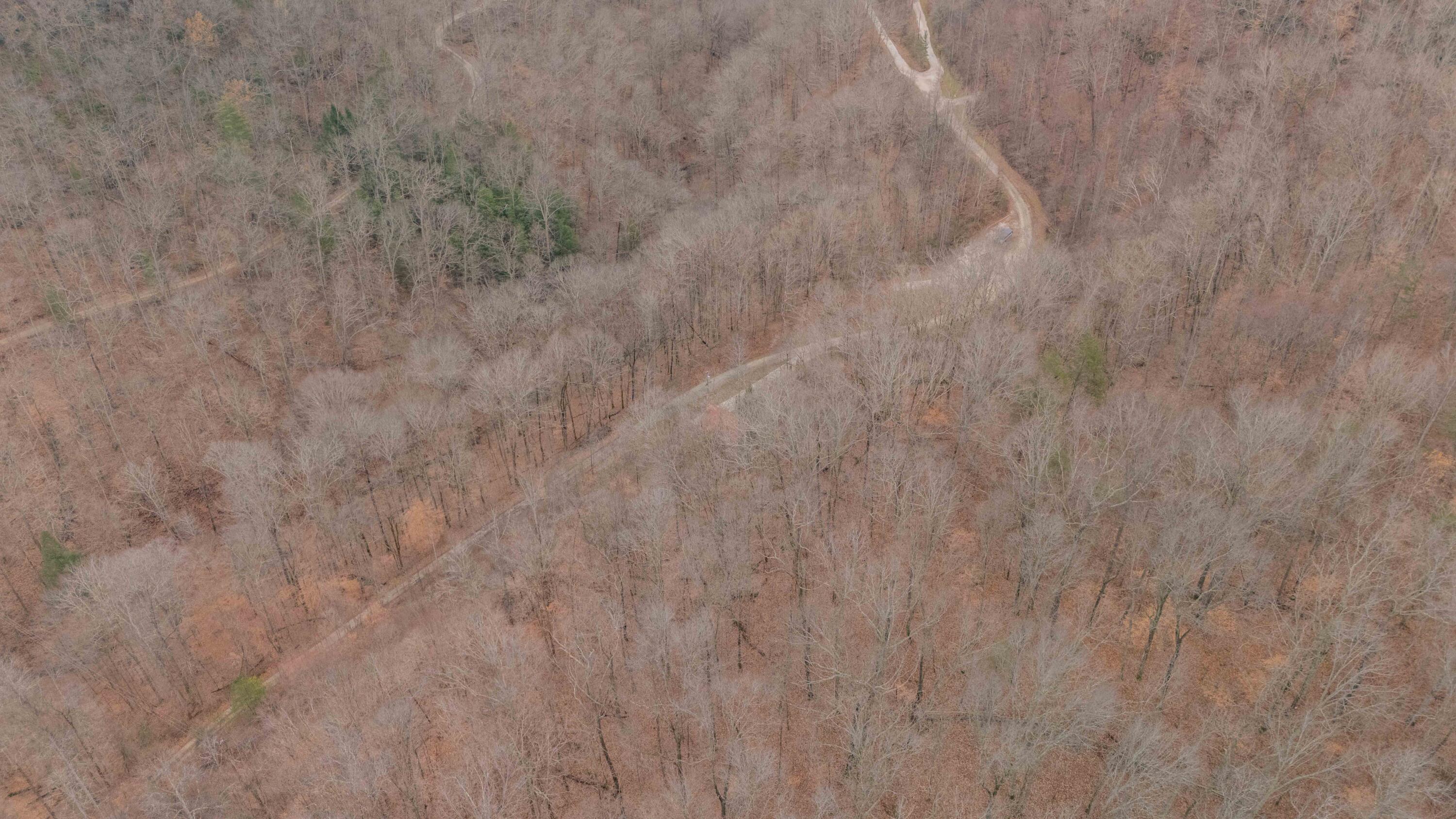 443 Pleasant Vw Road Frenchburg, KY 40322 - Photo 39 of 49 443 Pleasantview RD-7