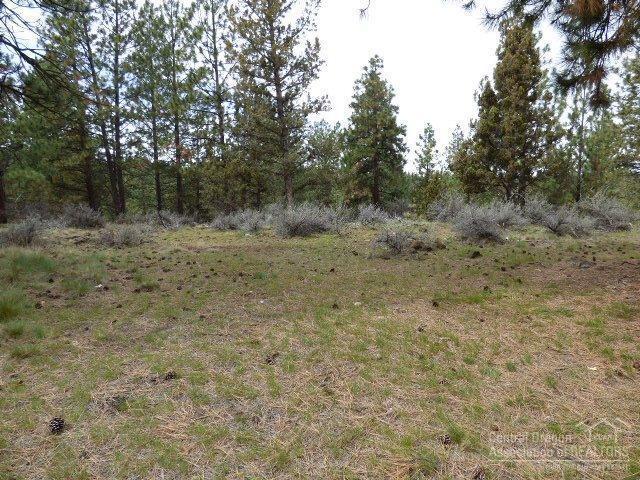 3202 McClellan Road Bend, OR 97702 - Photo 9 of 25 a view of a yard with a tree