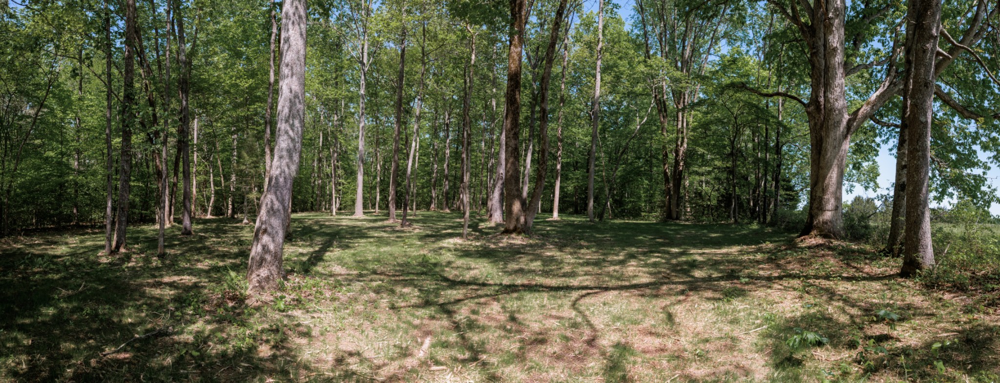7 Oscar Green Road Primm Springs, TN 38476 - Photo 34 of 55 Gallery Image 34