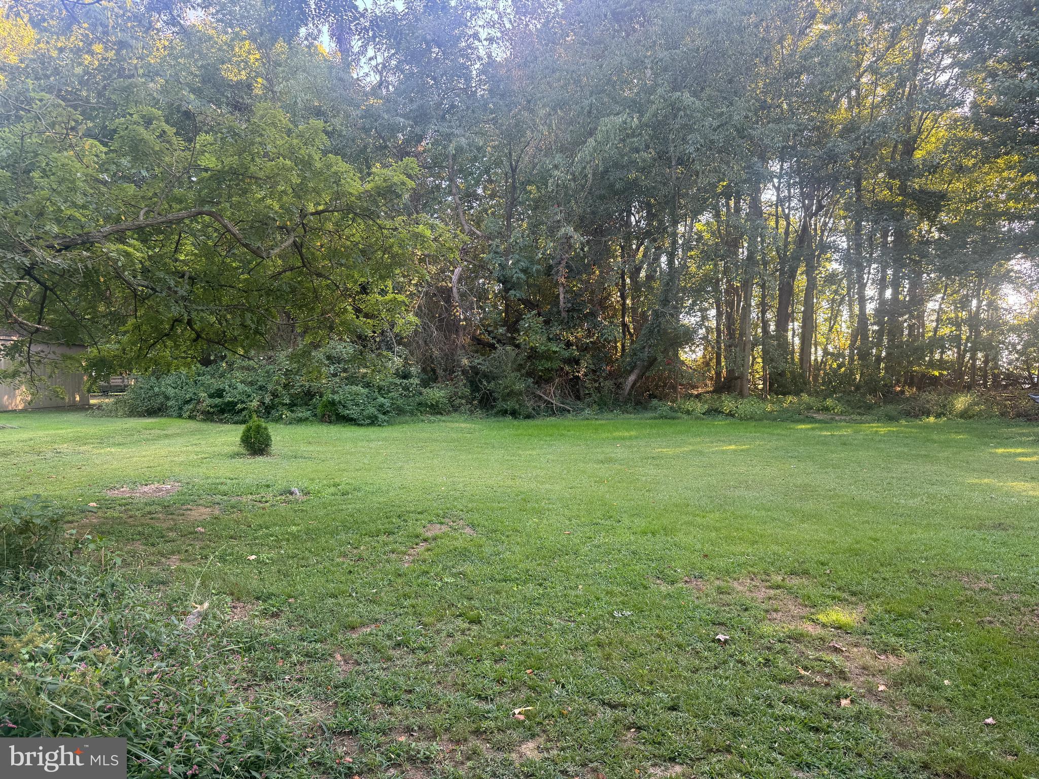 Meadow Road Worton, MD 21678 - Photo 2 of 15 a view of a trees with a yard