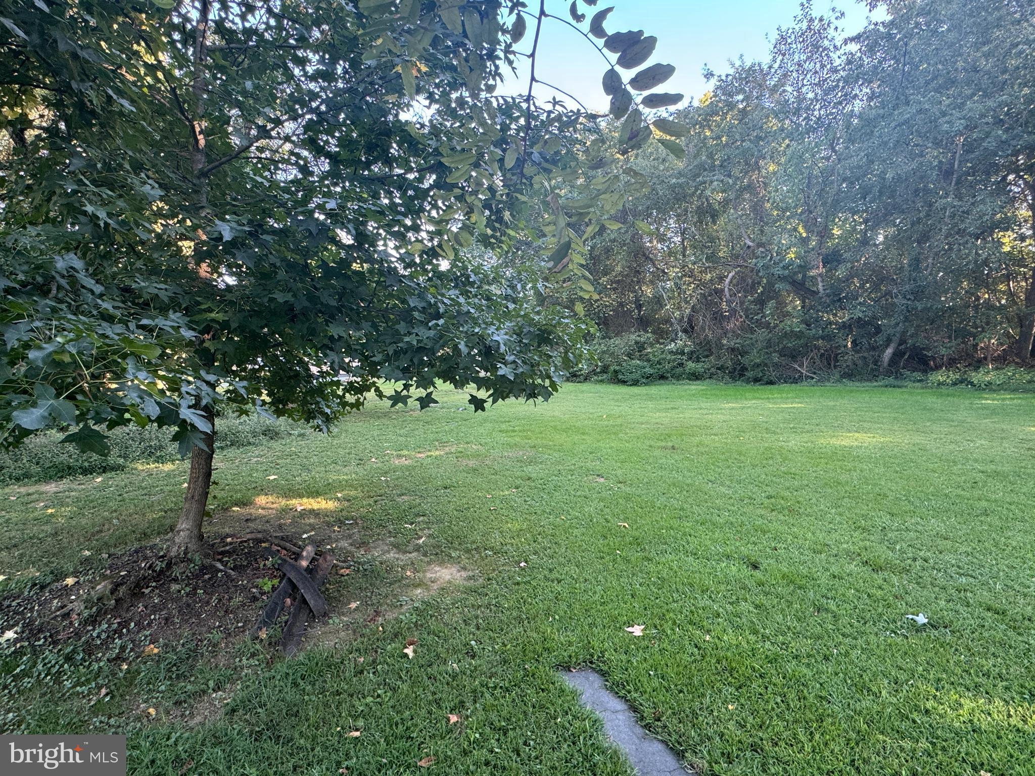 Meadow Road Worton, MD 21678 - Photo 3 of 15 a view of a tree in a yard