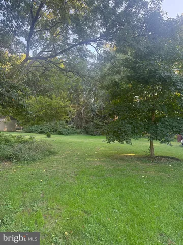 a view of field with trees in the background