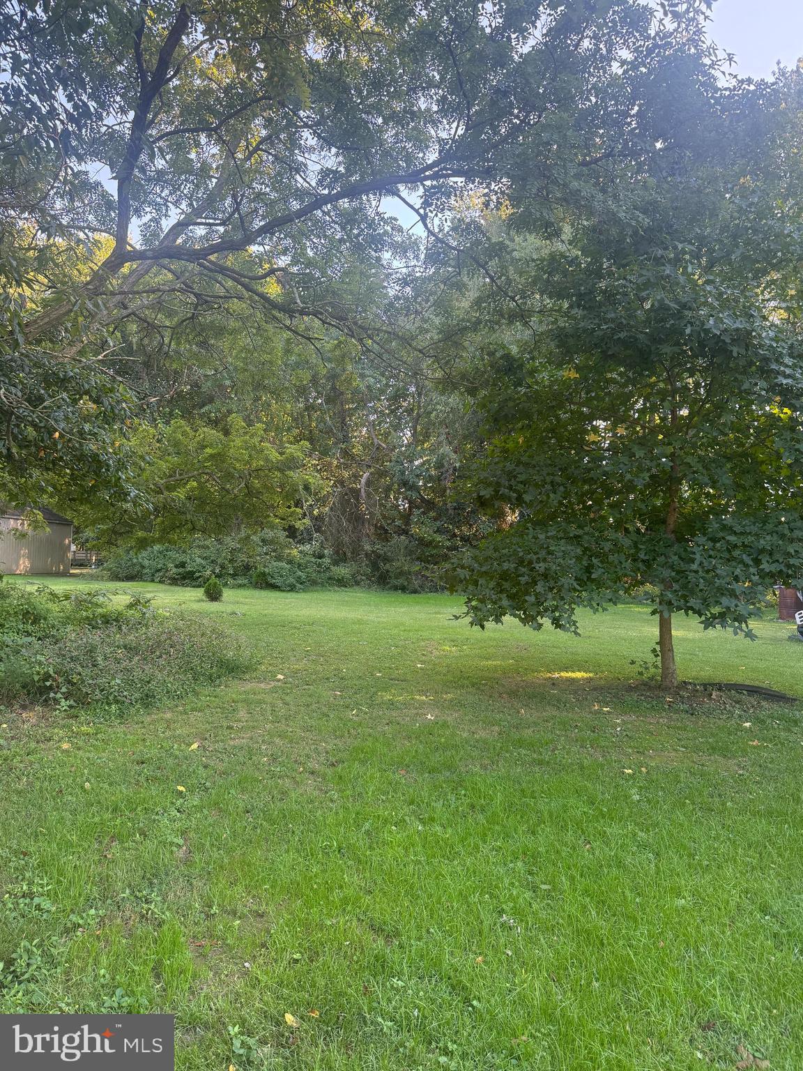 Meadow Road Worton, MD 21678 - Photo 4 of 15 a view of field with trees in the background