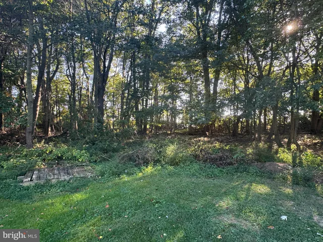 a view of outdoor space and green space