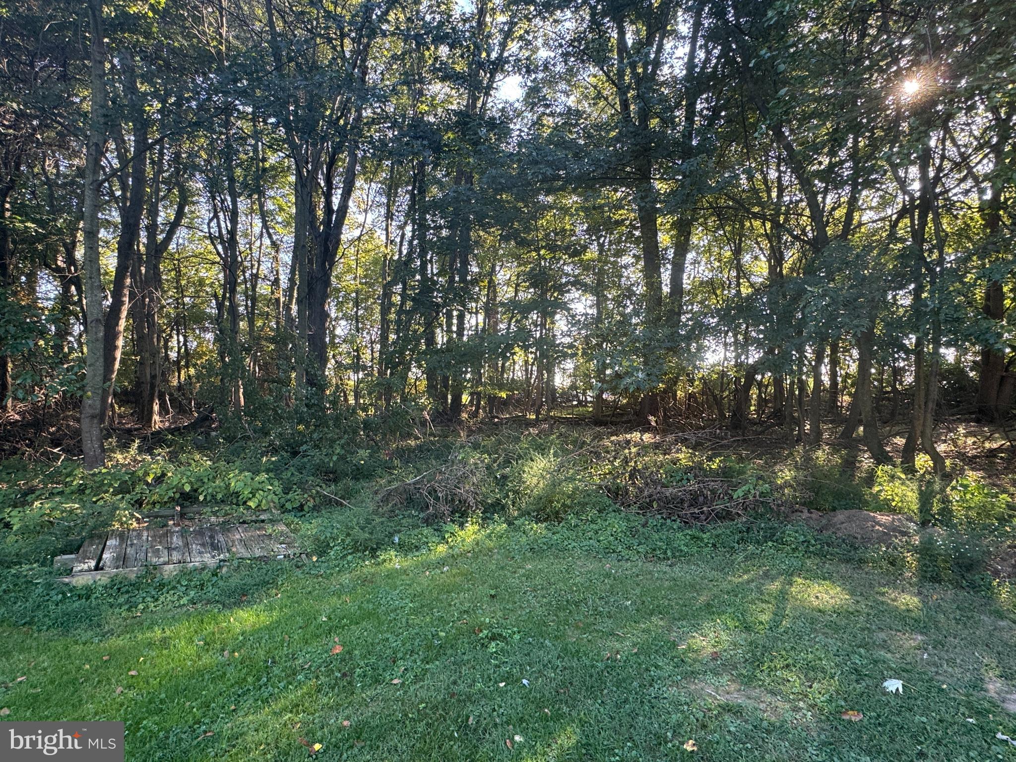 Meadow Road Worton, MD 21678 - Photo 5 of 15 a view of outdoor space and green space