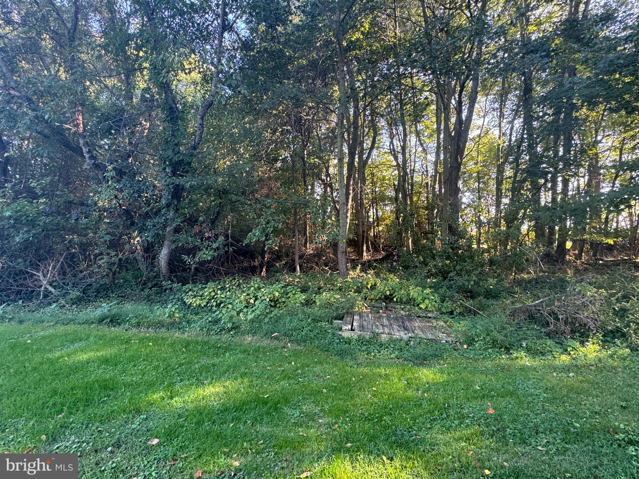 Meadow Road Worton, MD 21678 - Photo 6 of 15 a view of backyard with green space