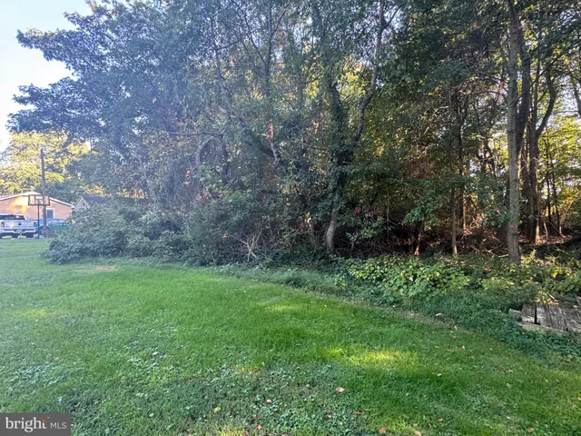 a view of a lush green space