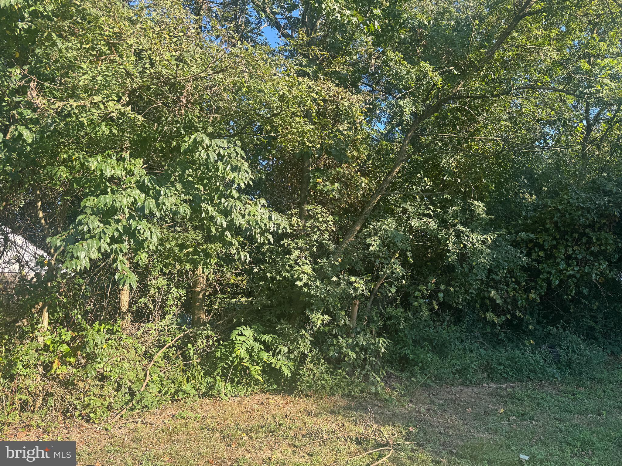 Meadow Road Worton, MD 21678 - Photo 9 of 15